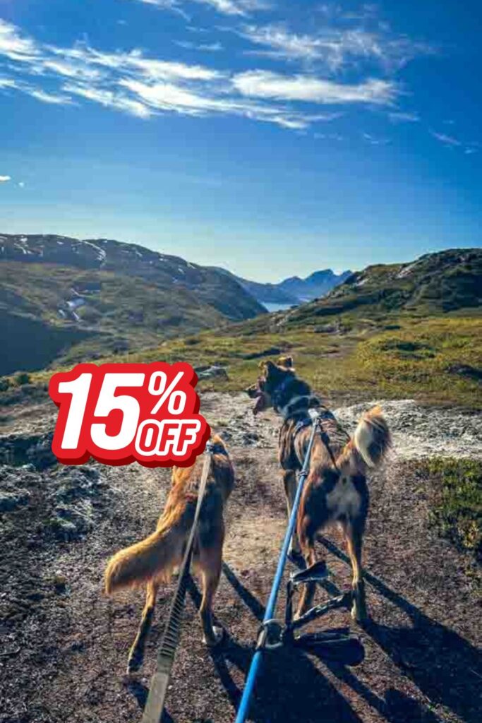 Several Alaskan huskies pull gently along a mountain trail with panoramic views of the Arctic landscape near Tromsø.