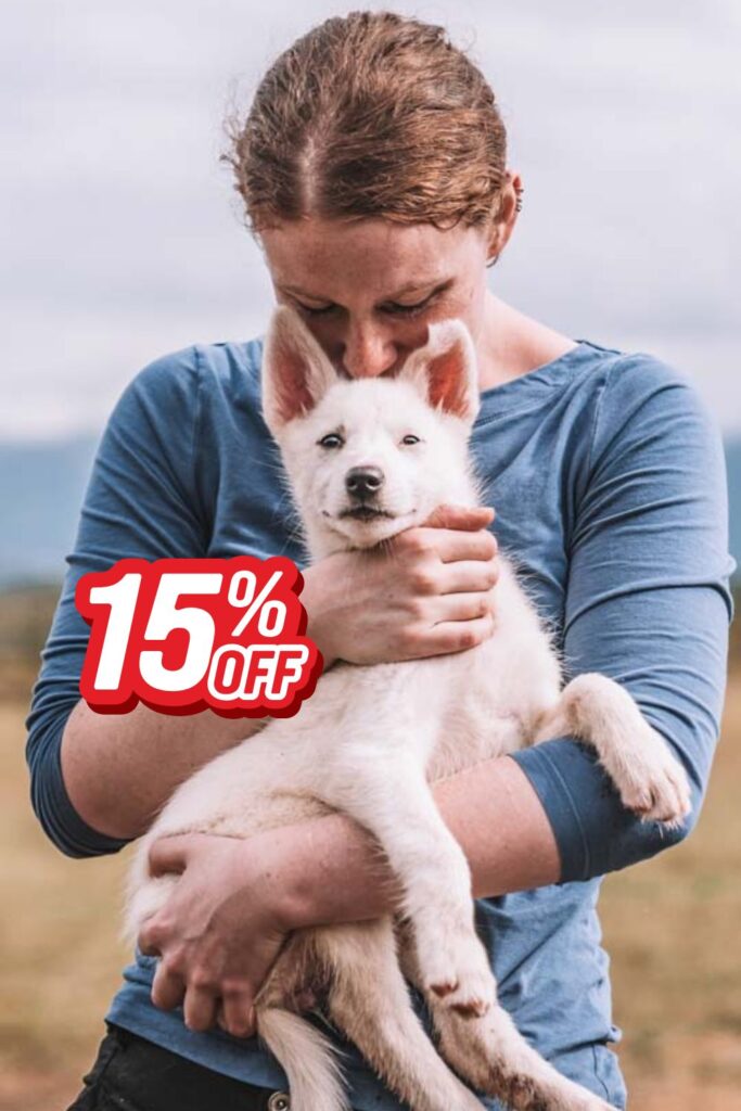 A guest cuddles a white Alaskan husky puppy during a puppy visit at Tromsø Villmarkssenter.