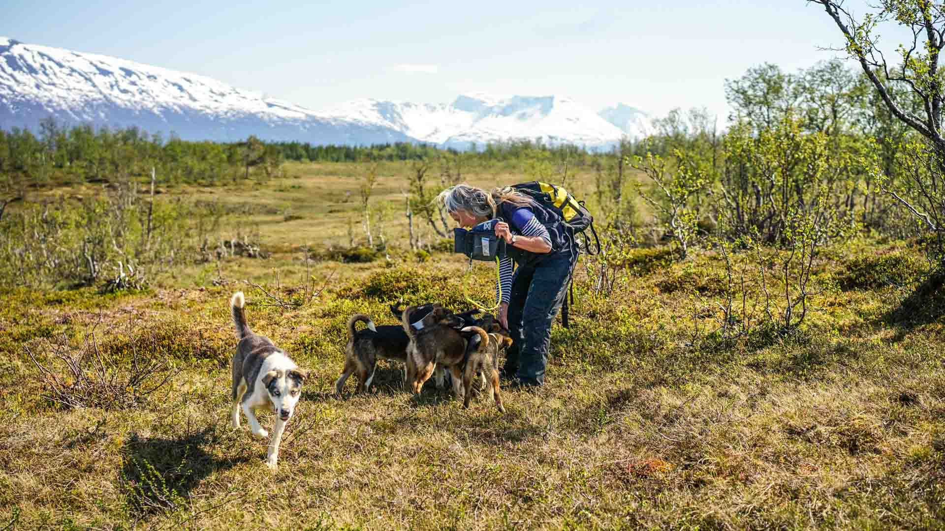 Puppy_Training-7