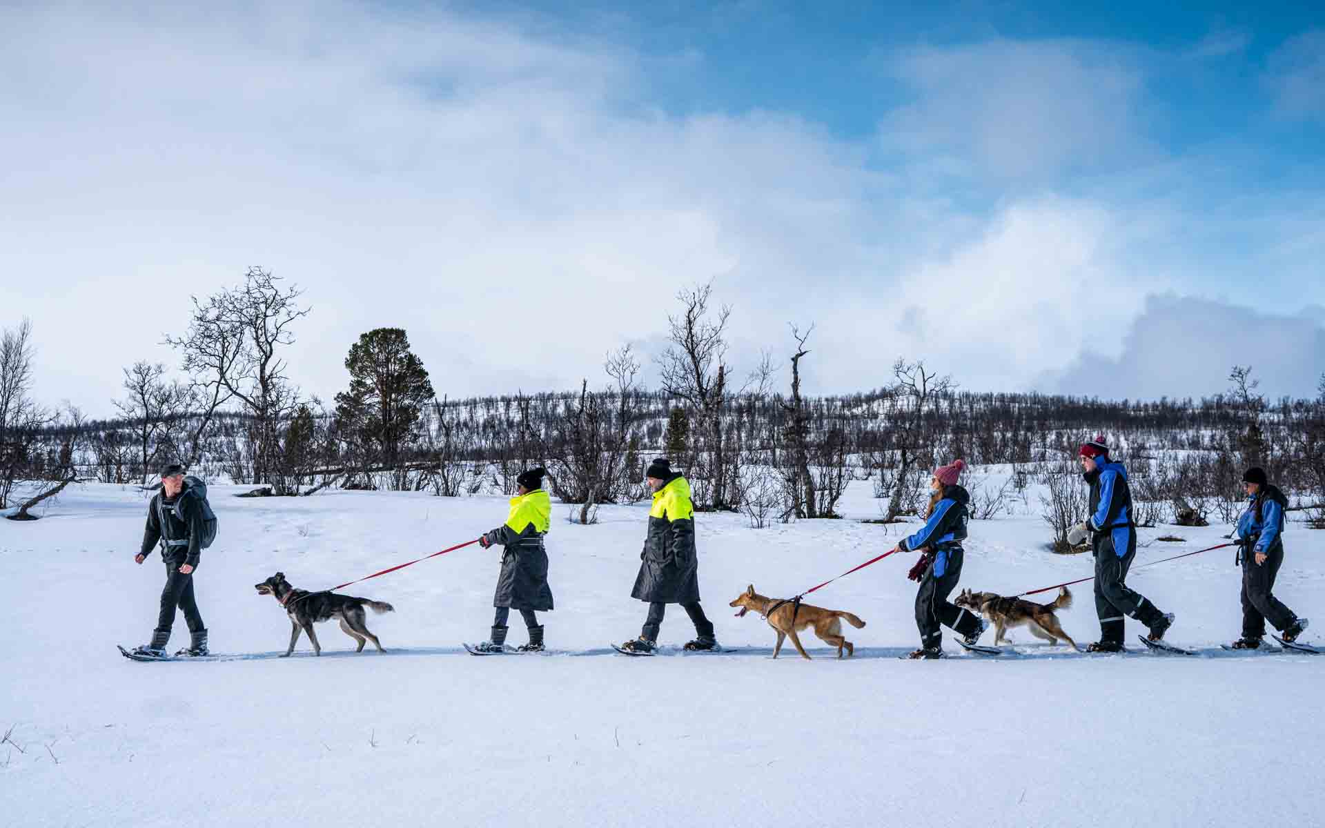 TromsøVillmarkssenter_VTT_250424_Foto_Maren_Tvedt-118