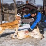 TromsøVillmarkssenter_VTT_250424_Foto_Maren_Tvedt-12