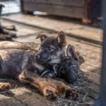 TromsøVillmarkssenter_VTT_250424_Foto_Maren_Tvedt-148