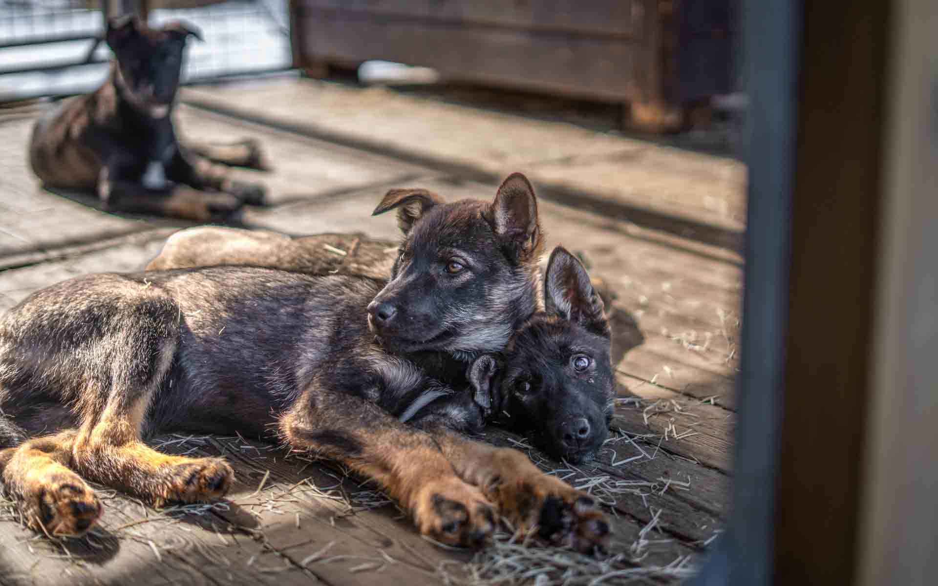 TromsøVillmarkssenter_VTT_250424_Foto_Maren_Tvedt-148
