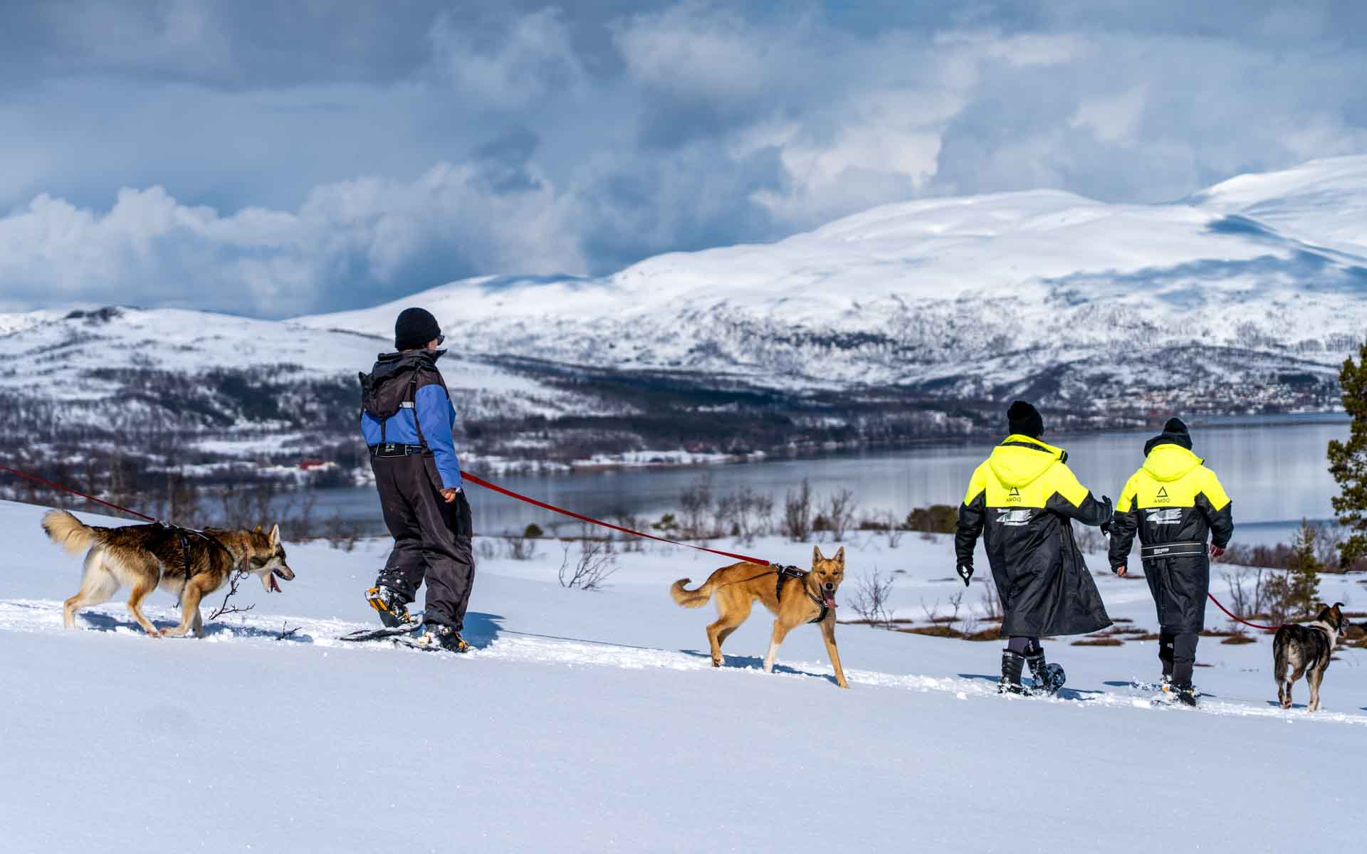 TromsøVillmarkssenter_VTT_250424_Foto_Maren_Tvedt-44