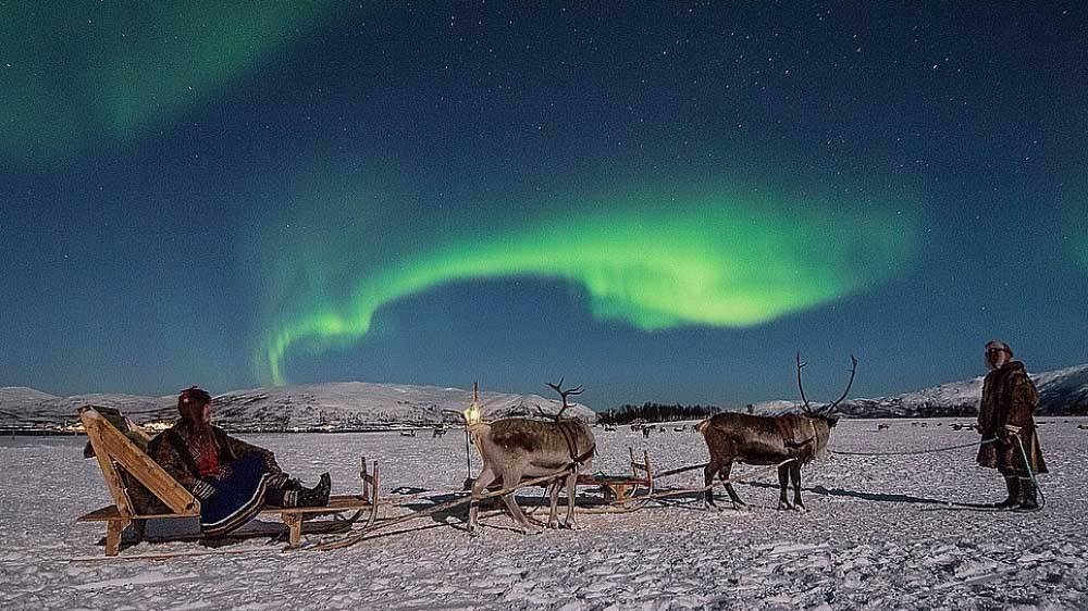 reindeer-22