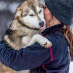 husky meet and greet