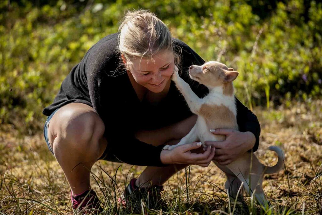 Husky puppy bonding with a caretaker outdoors during early socialization at Tromsø Villmarkssenter