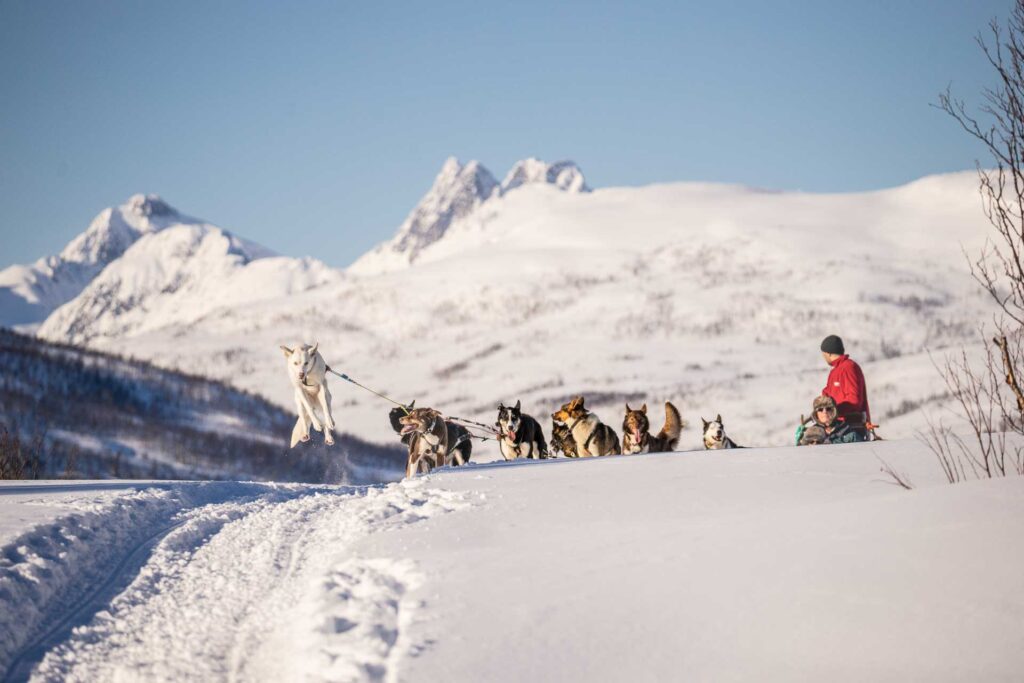 An Alaskan husky dog sled team runs across a snowy trail with a musher and passengers, surrounded by snow-covered Arctic mountains near Tromsø in Northern Norway on a clear winter day.