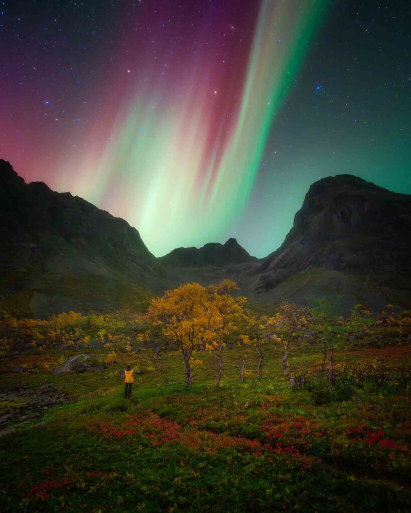 Northern Lights above autumn landscape and mountains in Grøtfjord near Tromsø